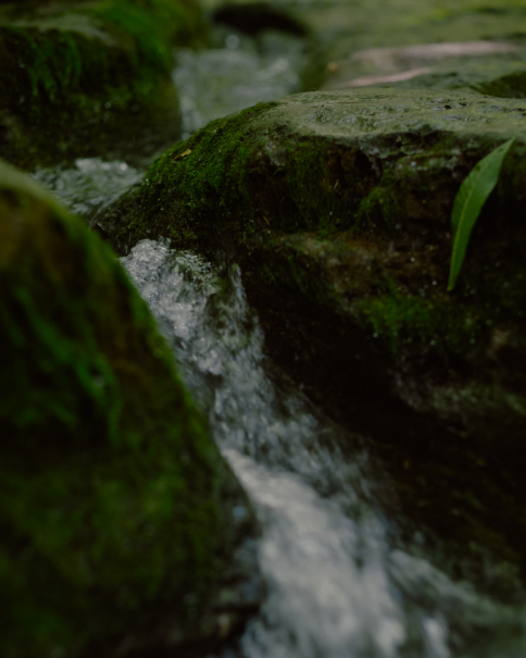 Инь-Ян In Flow - в потоке