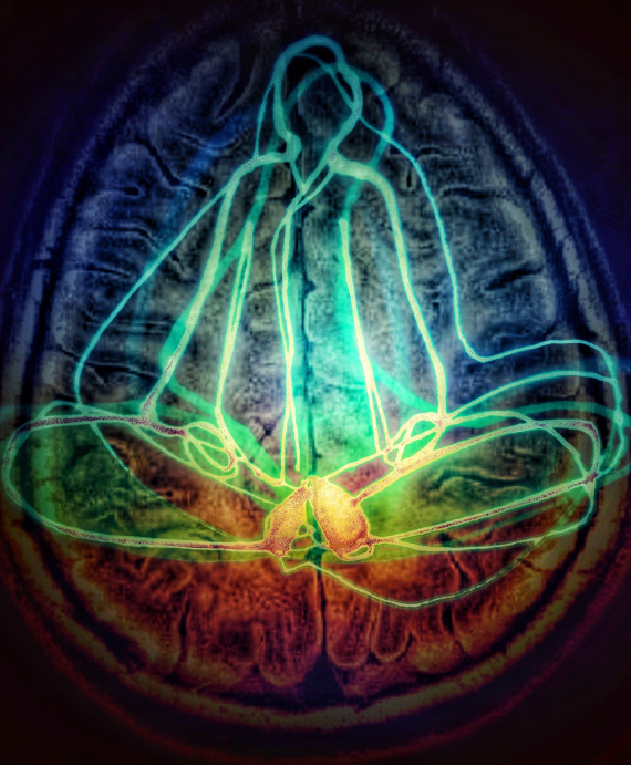 Эмбодимент In Flow - в потоке